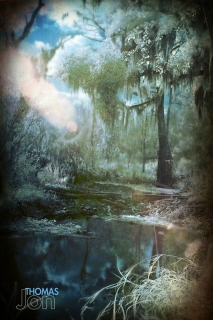 blueswamp.jpg